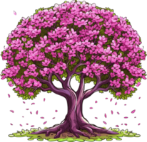 redbud träd transparent bakgrund png