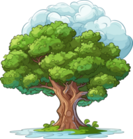 Zeder Baum transparent Hintergrund png