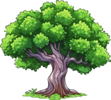 orme arbre transparent Contexte png