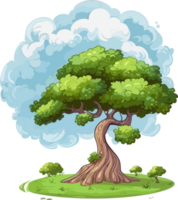 Cypress tree transparent background png