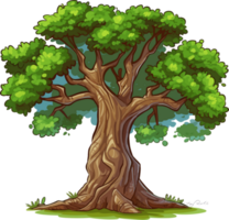 Sycamore tree ,sycamore platanus trees isolated png on a transparent background perfectly cutout