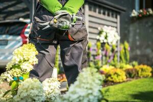 Backyard Garden Work photo