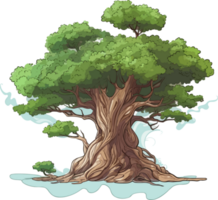 ciprés árbol transparente antecedentes png