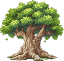 Sycamore tree ,sycamore platanus trees isolated png on a transparent background perfectly cutout