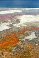 Oeste pulgares Yellowstone foto