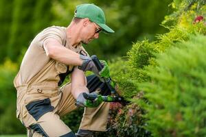 Professional Gardener Trimming Shrubs Closeup photo