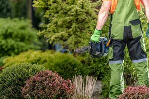 Gasoline Shrub Trimmer photo