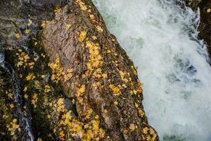 Fall Foliage River photo