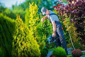 Firing Up Hedge Trimmer photo