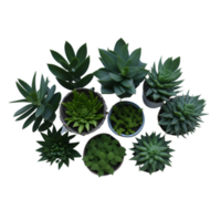 Potted plant top view collection, set of potted plants top view  on transparent background, Succulent plants top view , Indoor potted plants, Botanical cliparts, photography potted plant png