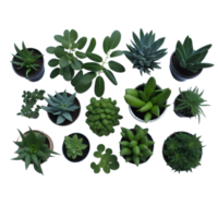 Potted plant top view collection, set of potted plants top view  on transparent background, Succulent plants top view , Indoor potted plants, Botanical cliparts, photography potted plant png