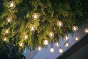 ligero lámpara y planta decoración techo diseño por colgando eléctrico brillante bulbo. interior verde hoja interior fondo, flor natural estilo jardín candelabro en moderno hogar, café y restaurante. foto