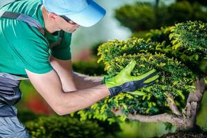 Taking Care of Garden Trees photo