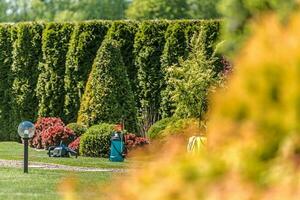 View Of Residential Backyard Landscape With Groundkeeping Equipment. photo