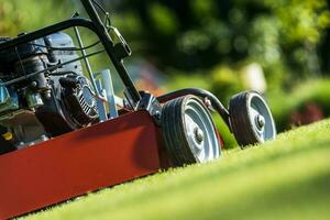 Scarifier or Verticutter on a Backyard Lawn photo