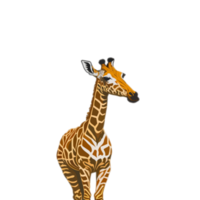 isolé girafe clipart, girafe illustration sur transparent arrière-plan, animaux clipart, animal éléments clipart et illustrations, animal png