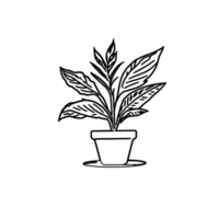 potted plant black outline illustration on transparent background png