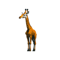 isolé girafe clipart, girafe illustration sur transparent arrière-plan, animaux clipart, animal éléments clipart et illustrations, animal png