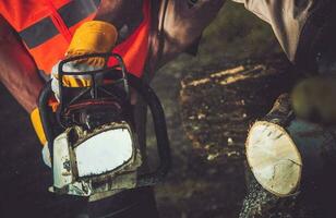 Firewood Logs Cutting photo