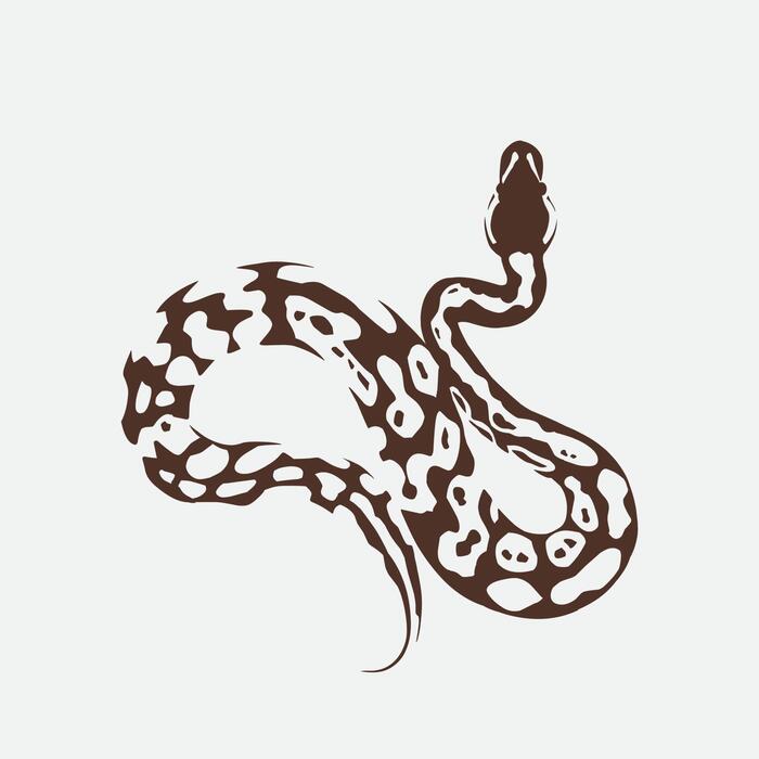 Anaconda Logo Vector Art, Icons, and Graphics for Free Download