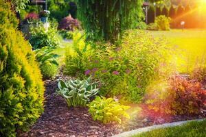 Sunny Summer Garden photo