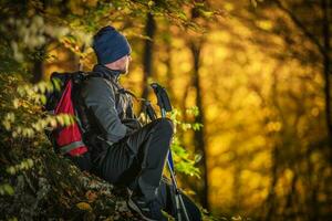 Fall Forest Hiking photo