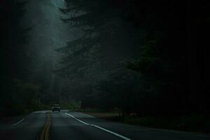 California Redwood Forest Highway After Dark photo