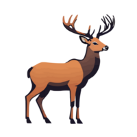 Deer wild animal png