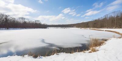 winter landscape with snowy path photo