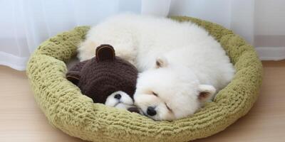 Stuffed bear sleeping in a cat bed photo