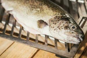 Preparing Trout For Grill photo