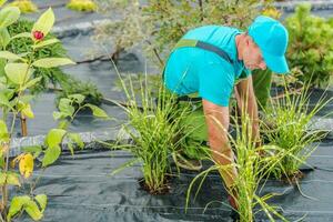 profesional jardinero trabajo foto