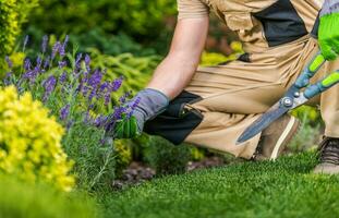 caucásico jardinero y el jardín mantenimiento trabajo foto