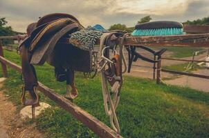 ecuestre instalaciones caballo accesorios foto