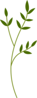 flower and green leaf botanical illustration. png