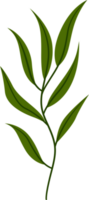 flower and green leaf botanical illustration. png