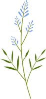 Blume und Grün Blatt botanisch Illustration. png