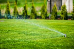 Sprinkler System Moisturizing Green Grass And Shrubs. photo