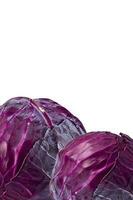 Red Cabbage Isolated photo