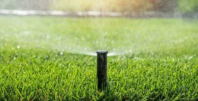 Garden Sprinkler Watering Theme photo