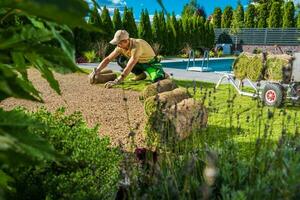 Man Restoring Backyard Garden Grass Turfs photo