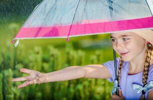 The Summer Rain photo