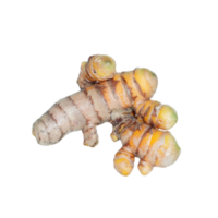 crudo Curcuma ritagliare png