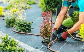 Drip Irrigation System Building Inside Newly Developed Back Yard Garden photo