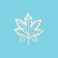 White outline papaya leaf on blue background vector