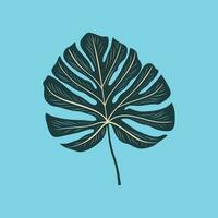 Green monstera leaf flat design vector