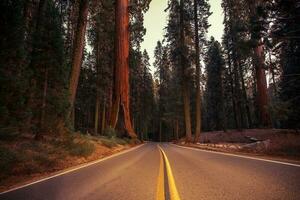 California Sierra Nevada Road photo