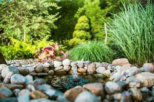 Little Garden Pond photo