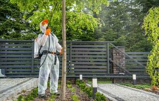 jardín arboles insecticida realizado por profesional jardinero foto