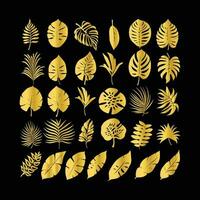 Set gold tropical leaf isolated. Vector illustration.